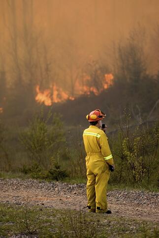 Wildfire_2.jpg