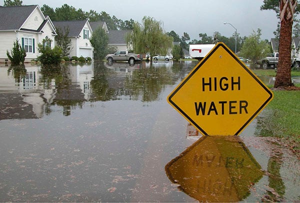 flood_image-1_-_for_web.jpg