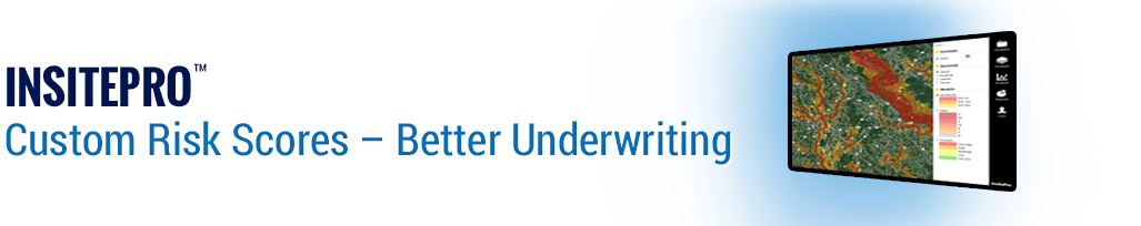 InsitePro Flood Risk Assessment